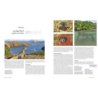 Le tour du Monde en 80 plongées