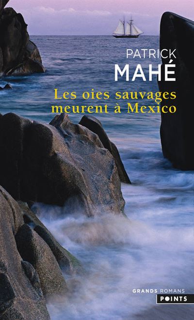 Les oies sauvages meurent à Mexico