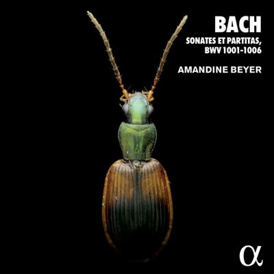 BACH: SONATES ET PARTITAS, BWV 1001-1006