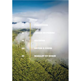 Technologie primitive