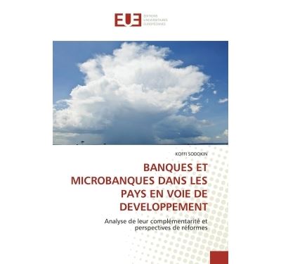 Banques et microbanques dans les pays en voie de développement