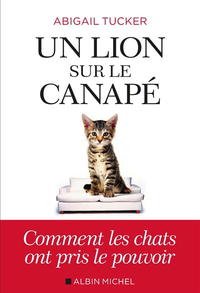 Un lion sur le canape comment les chats ont pris le pouvoir
