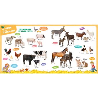 Mon grand imagier avec Sami et Julie