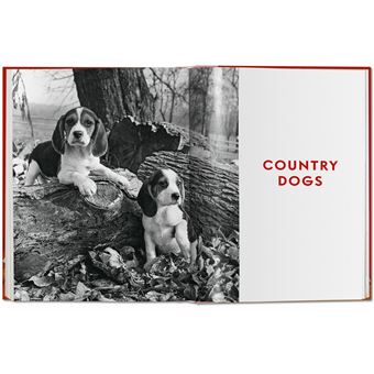 Walter Chandoha. Dogs. Photographs 1941–1991