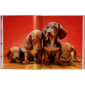 Walter Chandoha. Dogs. Photographs 1941–1991