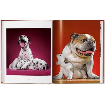 Walter Chandoha. Dogs. Photographs 1941–1991