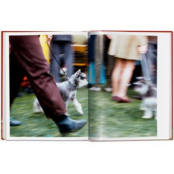 Walter Chandoha. Dogs. Photographs 1941–1991