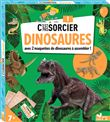 C'est pas sorcier les dinosaures - boîte avec accessoires