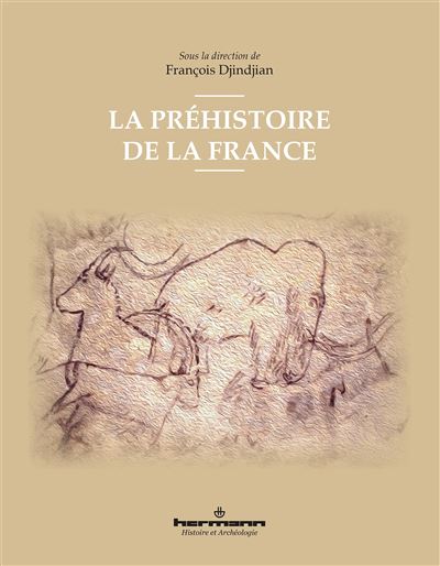 La préhistoire de la France - François Djindjian - broché