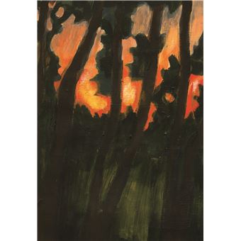 J'ai vu un magnifique oiseau