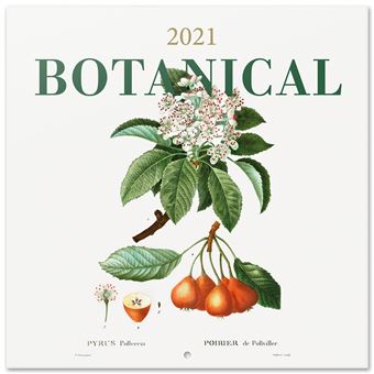 Calendrier 2021 30x30 Botanical