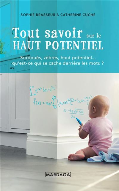 Tout savoir sur le Haut Potentiel - Sophie Brasseur - broché