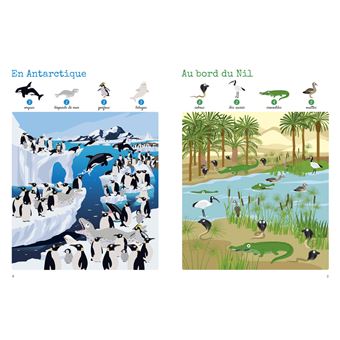 Cherche et trouve ! 1000 animaux