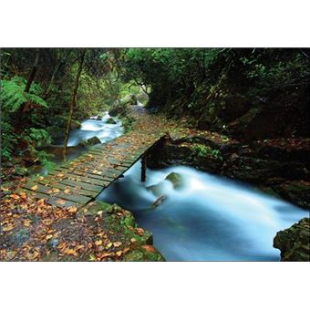 Méditer la terre vue de l'intérieur