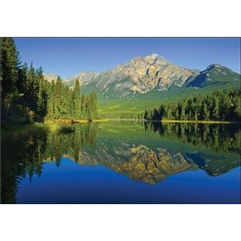 Méditer la terre vue de l'intérieur