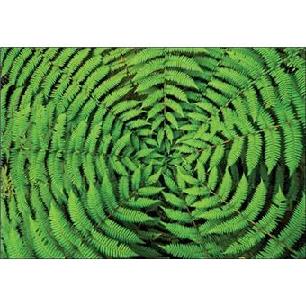 Méditer la terre vue de l'intérieur