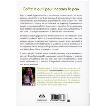 Méditer - la Terre vue de l'intérieur - Coffre à outils pour incarner la paix - Audio à télécharger