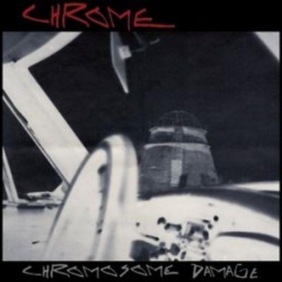 Chromosome damage Live in Italy 1981