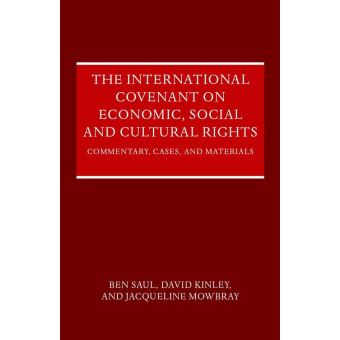 The International Covenant On Economic, Social And Cultural Rights ...