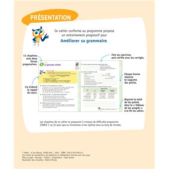 Améliorer sa grammaire CM1/CM2