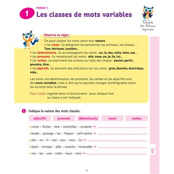 Améliorer sa grammaire CM1/CM2