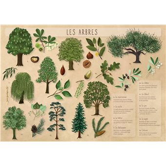 Les posters de l'école : Les Arbres