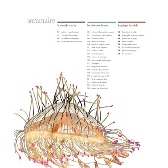 Merveilles et secrets des océans