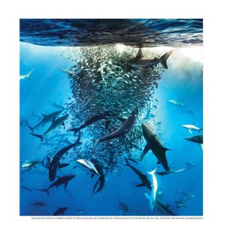 Merveilles et secrets des océans