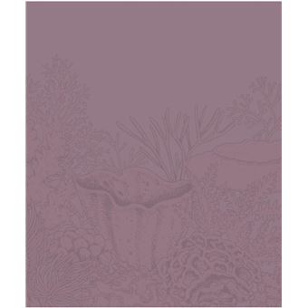 Merveilles et secrets des océans