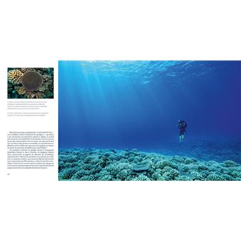 Entre deux mondes - Under The Pole III - Quatre années d'exploration scientifique en plongée profond