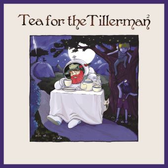 Lp-tea for the tillerman 2-lp
