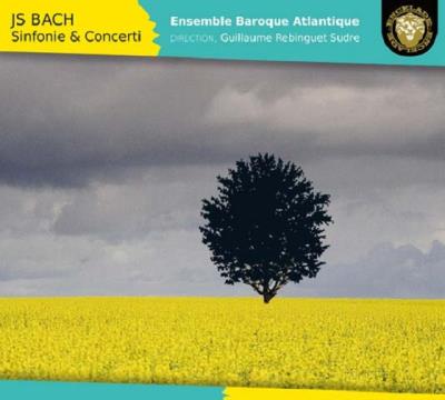 Sinfonie & concerti