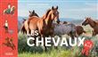 Les chevaux de A à Z