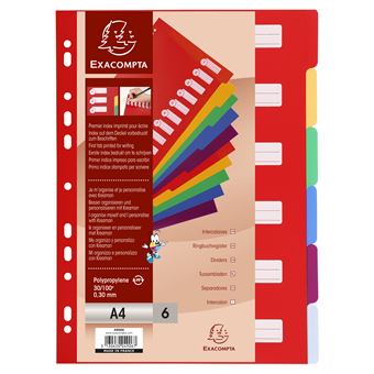 TABBLADEN A4 PP 30/100 6 INDELINGEN