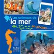 Les animaux de la mer en photos