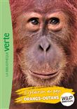 Wild Immersion 03 - Expédition au pays des orangs-outans