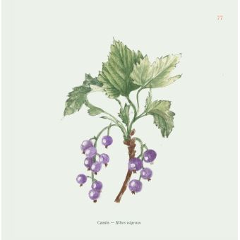 Se soigner par les plantes