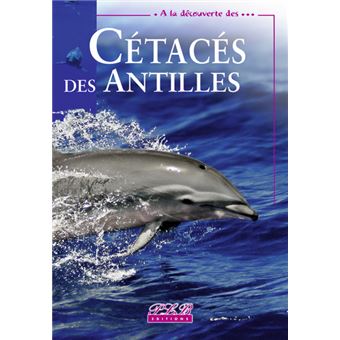 À la découverte des cétacés des Antilles