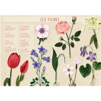 Les posters de l'école : Les Fleurs