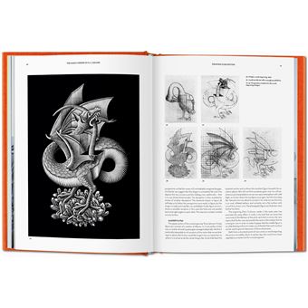 Le Miroir magique de M.C. Escher