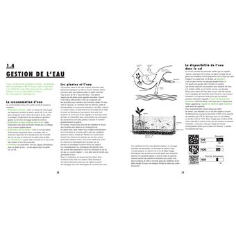 Mon potager en ville