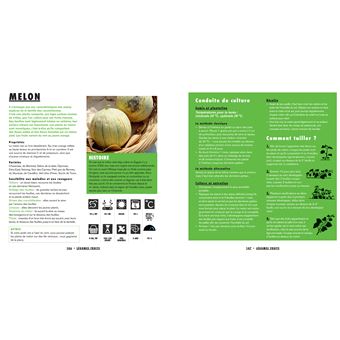 Mon potager en ville