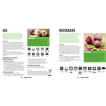 Mon potager en ville