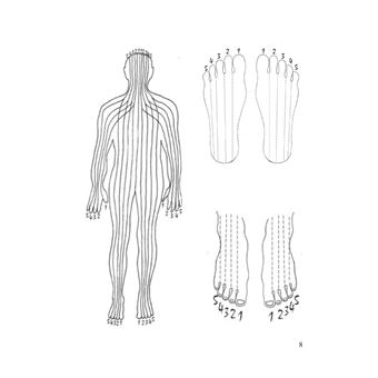 Introducció a la Reflexologia