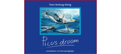 Pico's droom