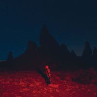 Punisher - Phoebe Bridgers - CD album - Achat & prix | fnac