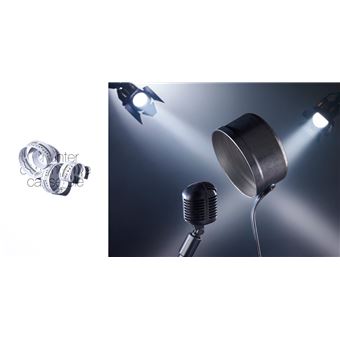 Quarante expressions françaises au pied de la lettre