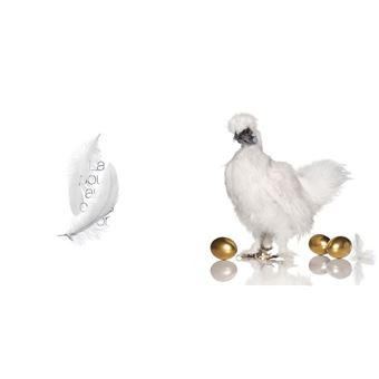 Quarante expressions françaises au pied de la lettre