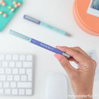 Set de 2 stylos pour raconter Mr. Wonderful