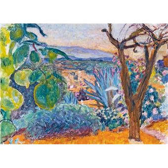 Bonnard. Coffret l'essentiel